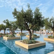 Trees in the Nafsika pool at Four Seasons Astir Palace Hotel Athens, with a view of white lounge chairs behind