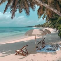 Two beach chairs, umbrellas and blankets set up under a shady tree on the beach