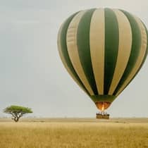 Guests in green-and-yellow striped hot air balloon rising from field