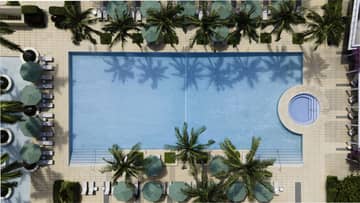 Aerial view of a luxurious rectangular swimming pool surrounded by palm trees and lounge chairs at the Four Seasons Hotel in Miami. The pool water reflects the palm tree silhouettes, enhancing the tropical ambiance.