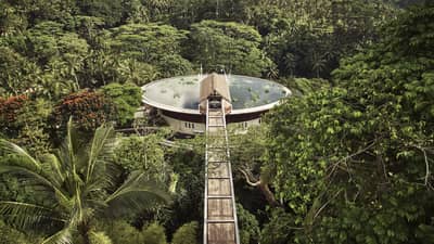 Aerial view of large water-filled lotus pond rooftop pool surrounded by lush palms and forest, long wood footbridge