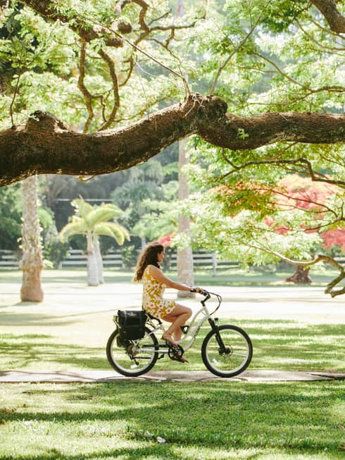 Man and woman ride bicycles through a grove of trees