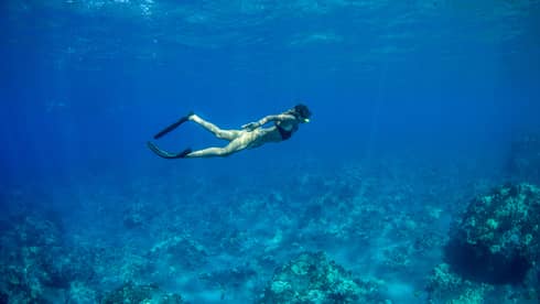 A snorkeller in black flippers and mask explores a rocky coral reef below, as rays of sunlight filter from above the blue water.