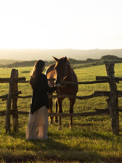 A woman pets a horse in a grass field at sunset