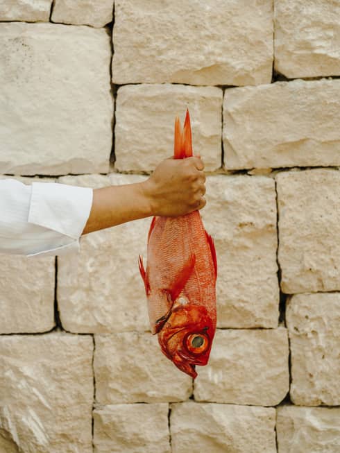 A person holding an orange fish by its tail in front of a brick wall