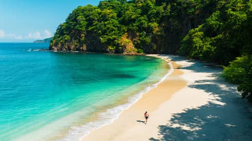 View of sandy beach, ocean and jungle
