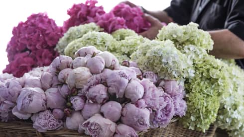 An assortment of light purple, pink and green flowers.