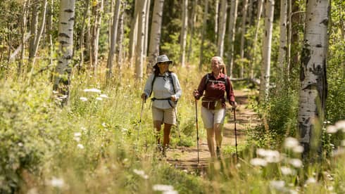Two people hiking through the woods.