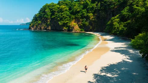 View of sandy beach, ocean and jungle