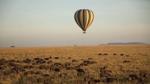 Hot-air balloon floats above animal herd in the Serengeti plains
