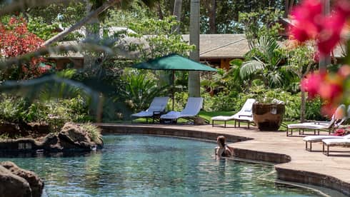 Pool surrounded by palm trees and lush landscaping