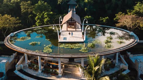 A floating walkout platform on a rooftop pond surrounded by lily pads.