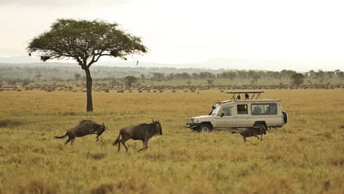 4 seasons safari lodge serengeti