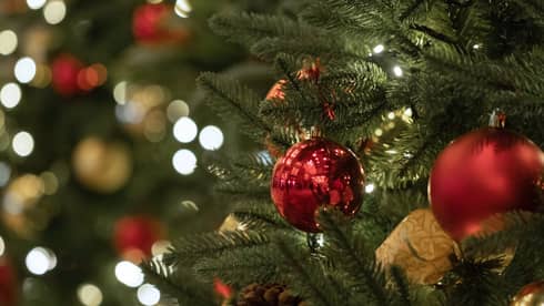 Shiny red ornaments hanging from the branches of a Christmas tree.