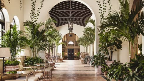 The interior of a lounge area of a hotel with small palm trees, other plants, and tables for people to sit at.