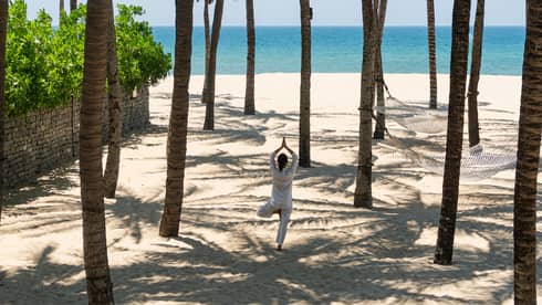 A person holding a standing yoga pose on a beach underneath a group of palm trees