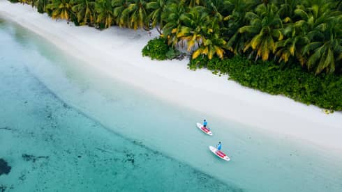 Overhead shot of stand-up paddleboarders sitting on the beach
