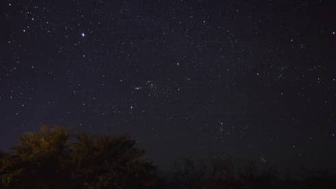 Starry night sky