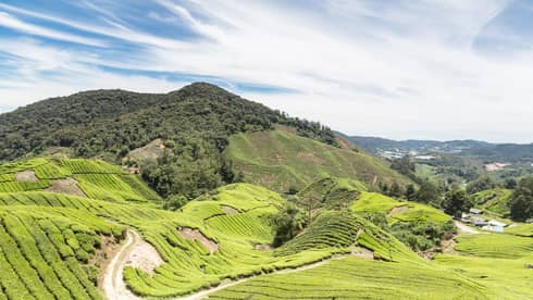 grassy hills in kuala lumpur