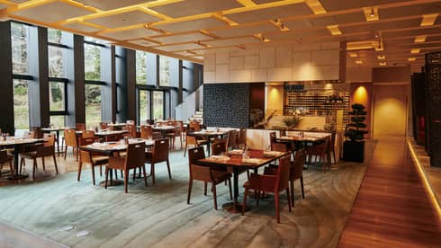 Restaurant dining room with warm lighting, light wood floors, floor-to-ceiling windows and green patterned area rug