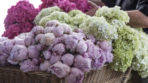 An assortment of light purple, pink and green flowers.
