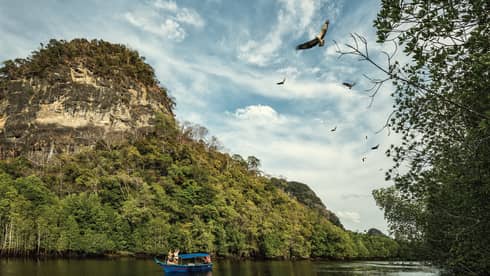 A majestic mountain rainforest looms behind tourists in a small, canopied riverboat as they watch eagles soaring high above.