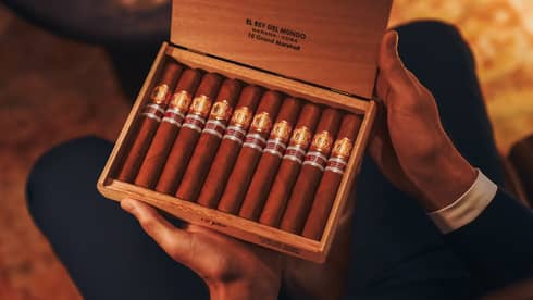 Close up of person's hands holding an open cigar box filled with 10 cigars