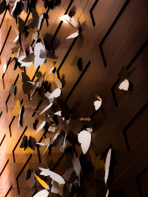 Close-up of stainless-steel butterflies on wall