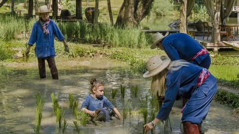 A family in navy blue standing in the brown waters of a rice patty beneath a palm tree. 