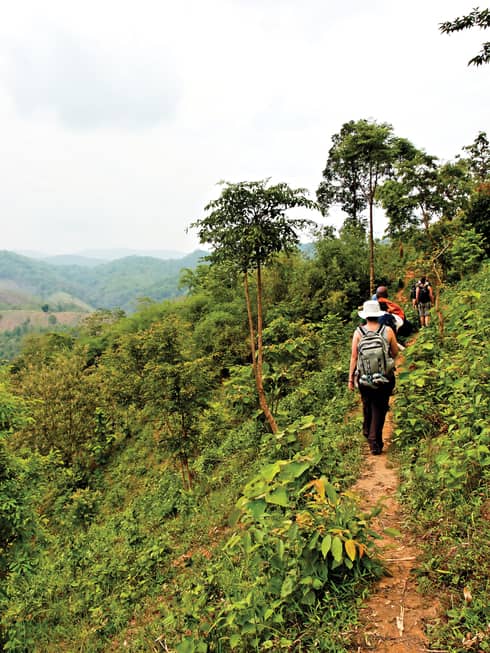Back view of travellers hiking along path in jungle mountains, northern Thailand