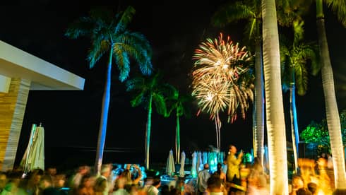 A group of guests watching fireworks in the sky.