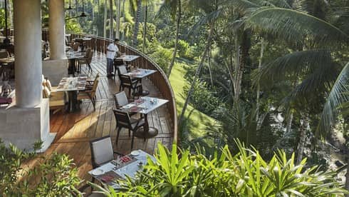 Looking down at curved wood patio of Ayung Terrace outdoor dining room, tables and chairs overlooking palm trees, forest
