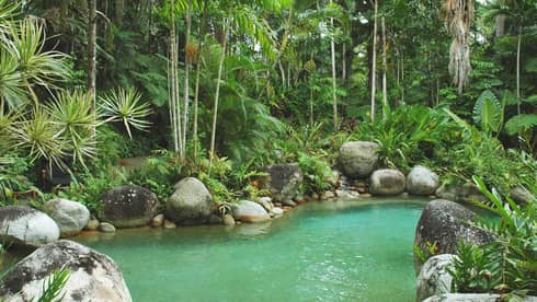 Green water surrounded by lush tropical forest