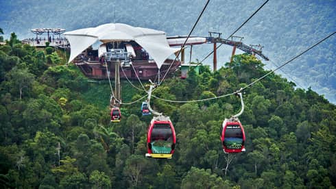Guests ascend over trees and wildlife in specialty cable car lifts