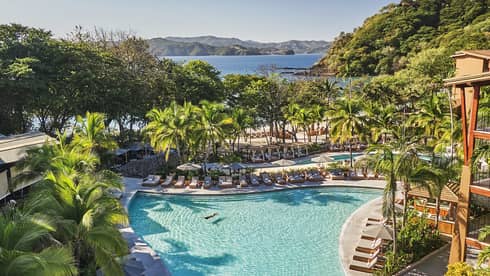 Aerial view of large outdoor pool surrounded by lounge chairs and tropical trees