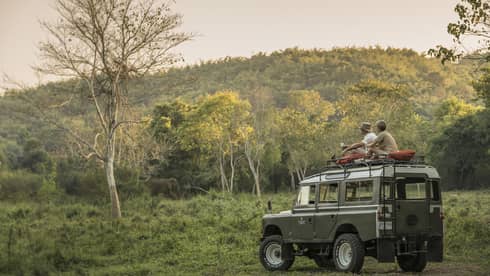 Couple in bush forest sit on top of utility vehicle
