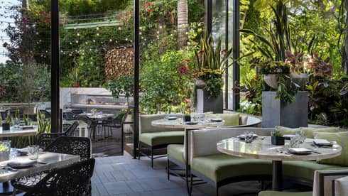 Restaurant seating with green chairs and many plants, with large windows leading to outdoor seating.