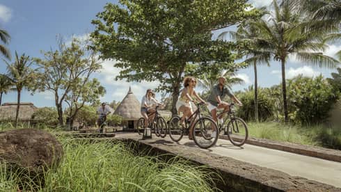 A group of friends cycle over a small bridge flanked by tall grasses and palm trees
