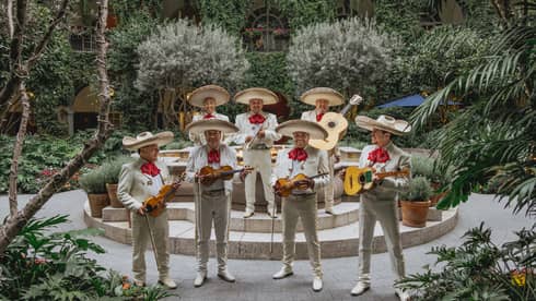 Mariachi band playing in a luxury hotel courtyard