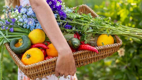 Person's arms hold a rectangular basket filled with fresh vegetables and flowers