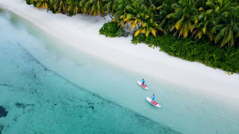 Overhead shot of stand-up paddleboarders sitting on the beach