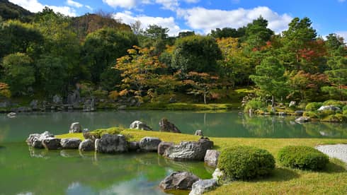 Pond in Kyoto, Japan