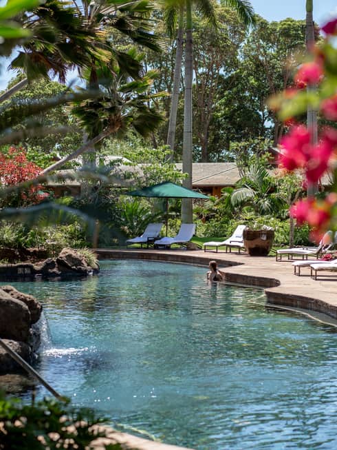 Pool surrounded by palm trees and lush landscaping