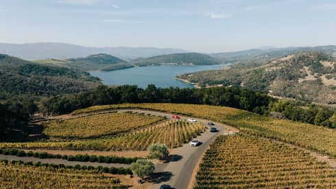Aerial view of cars driving through a vineyard in Napa Valley