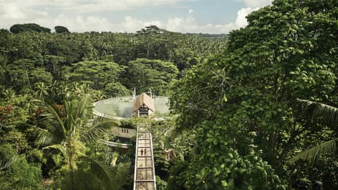 Aerial view of Four Seasons Bali at Sayan resort with wood footbridge leading to roof, lotus pond, palms around