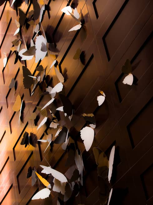 Close-up of stainless-steel butterflies on wall