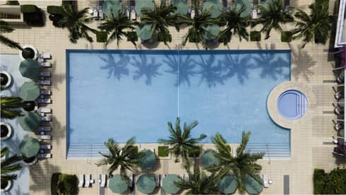 Aerial view of a luxurious rectangular swimming pool surrounded by palm trees and lounge chairs at the Four Seasons Hotel in Miami. The pool water reflects the palm tree silhouettes, enhancing the tropical ambiance.