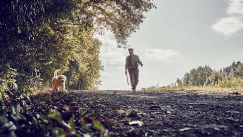 Man walks dog along tree-lined trail on country road 