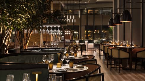 A dimly lit restaurant and bar with large windows, hanging lights, large booths and plants.