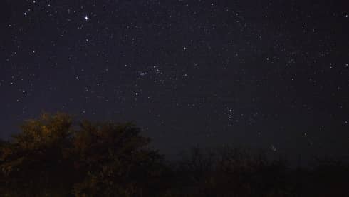 Starry night sky